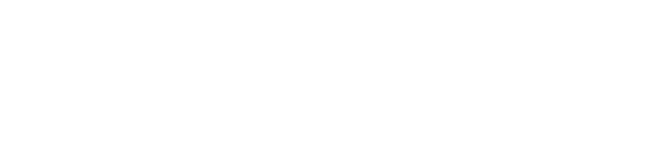 Zophipay